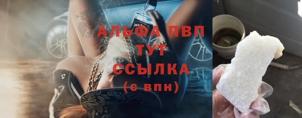 индика Магадан