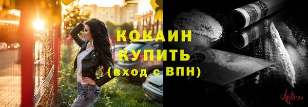 индика Магадан